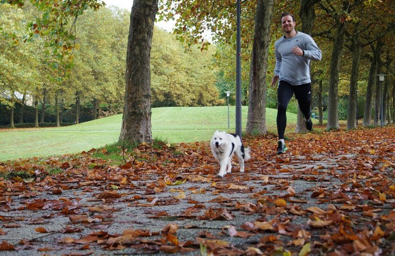 Laufen mit Hund in der City Nord