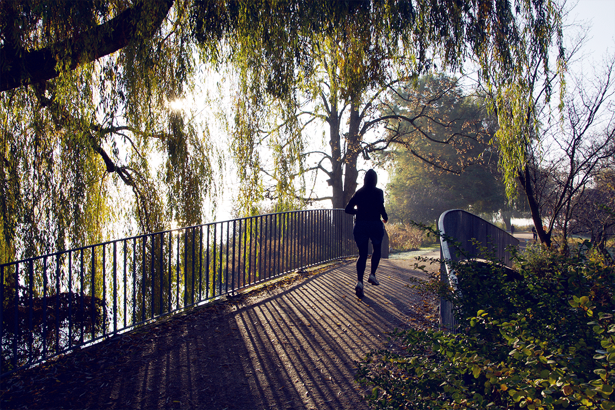 An der Alster kann man gut als Läufer trainieren