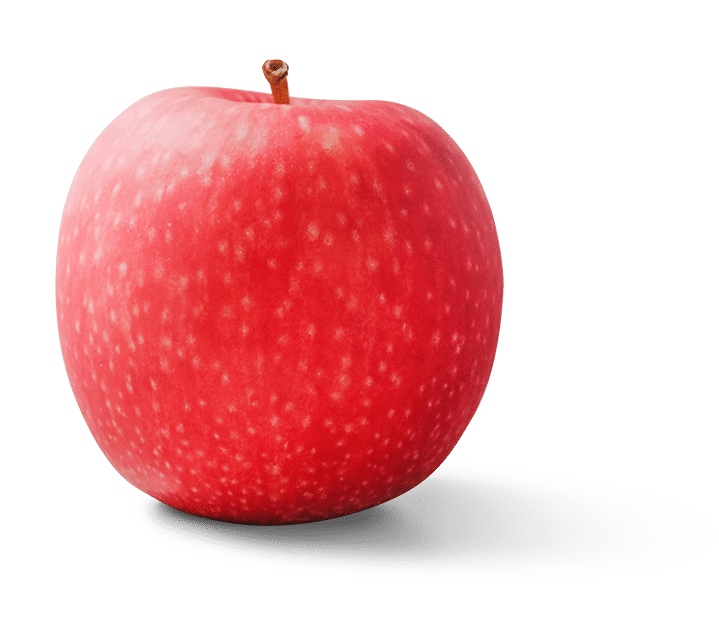 Veganer Ernährungsberatung Apfel